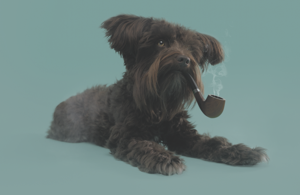 dog smoking a pipe